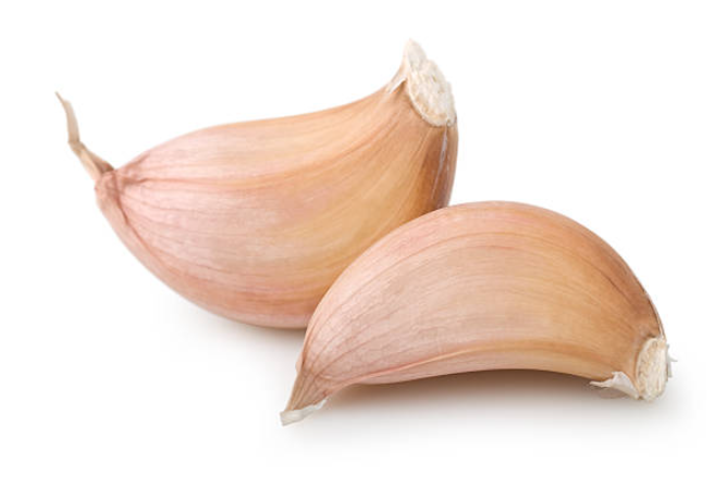 Sonhar com Dentes de Alho Bicho