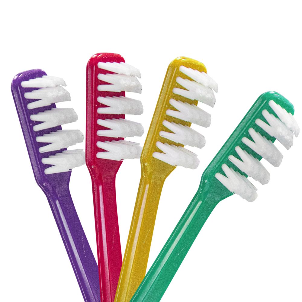 Sonhar com Escova de Dente Loteria